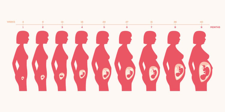 изменения в теле беременной женщины